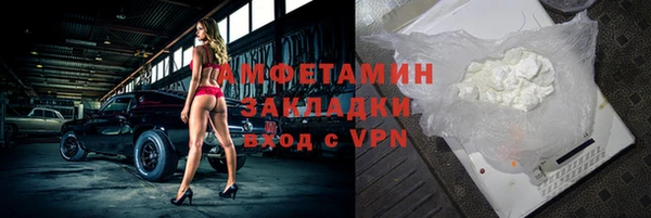 крисы Абаза