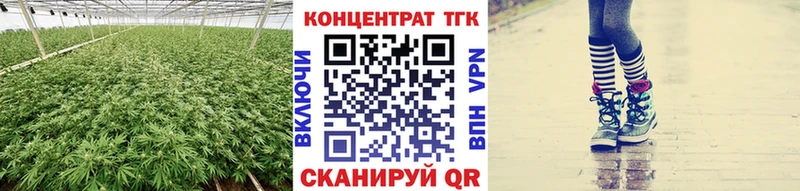 ТГК концентрат  мориарти телеграм  Арсеньев  блэк спрут ONION 